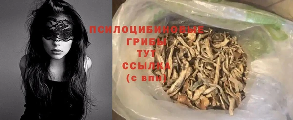 дживик Богородск