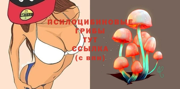герыч Богородицк