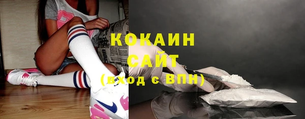 дживик Богородск