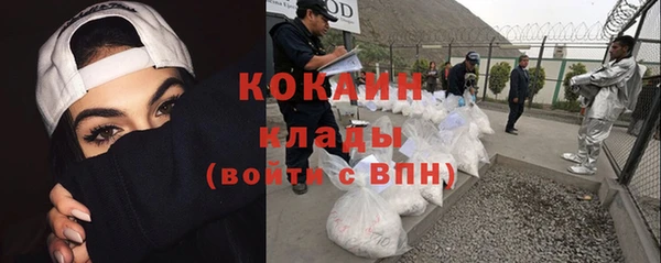 дживик Богородск