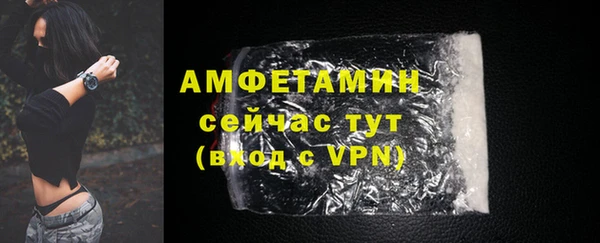 дживик Богородск