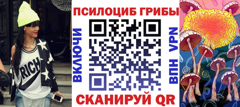 даркнет клад  Оренбург  Псилоцибиновые грибы Psilocybine cubensis 