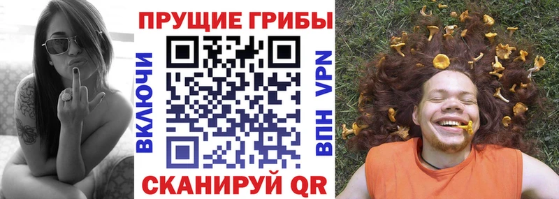Псилоцибиновые грибы GOLDEN TEACHER Оренбург